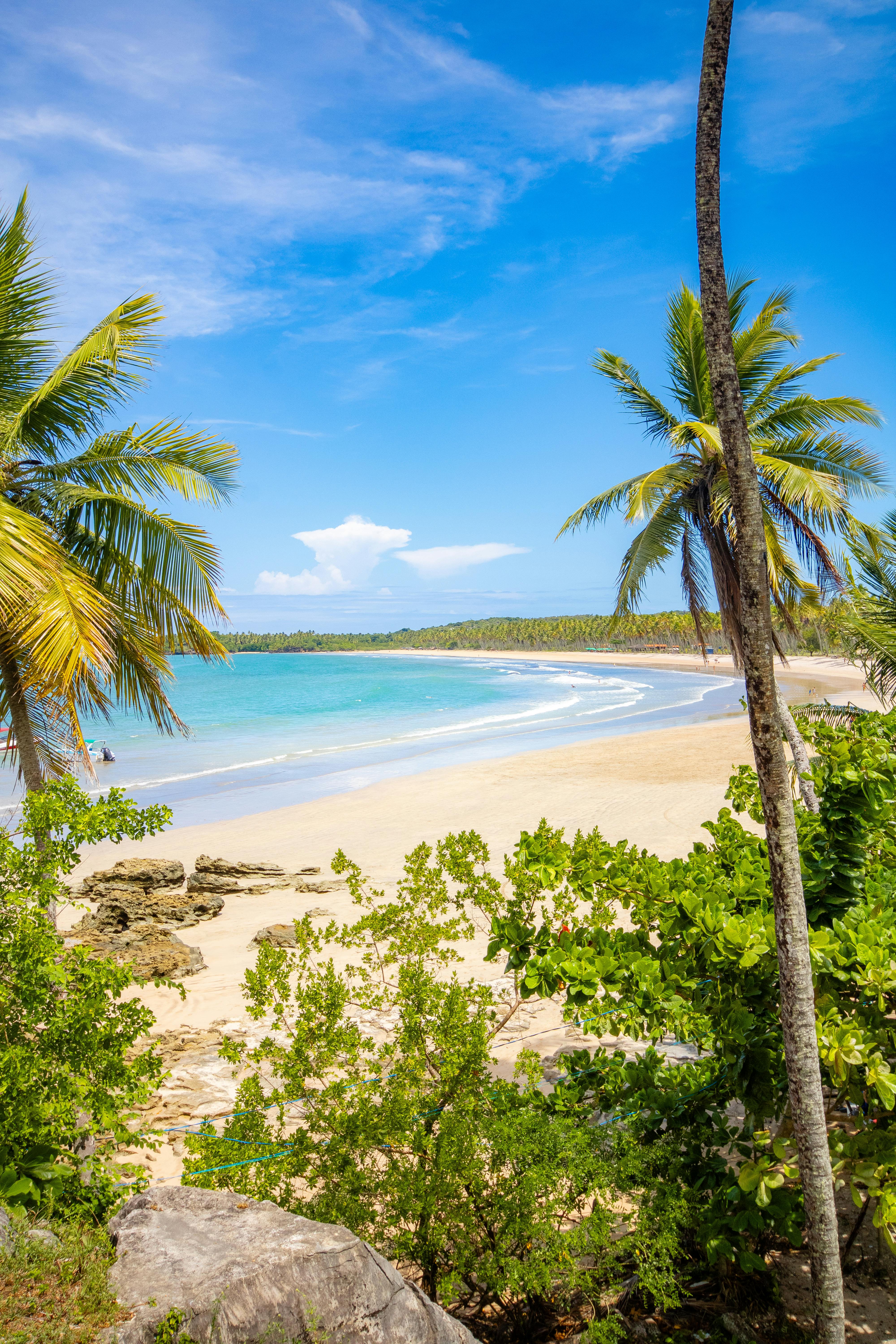 Vistas a las montañas y Bahía de Samaná